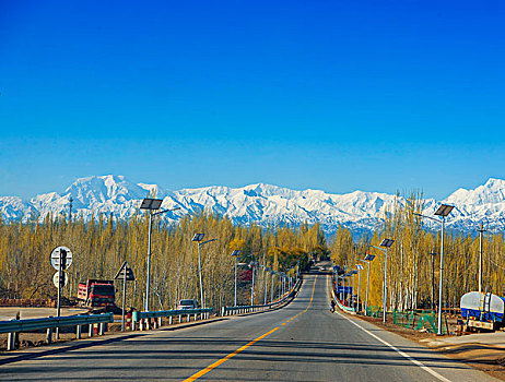 新疆,杏花,秋色,雪山,公路