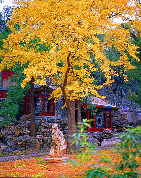 古建香山罗汉堂