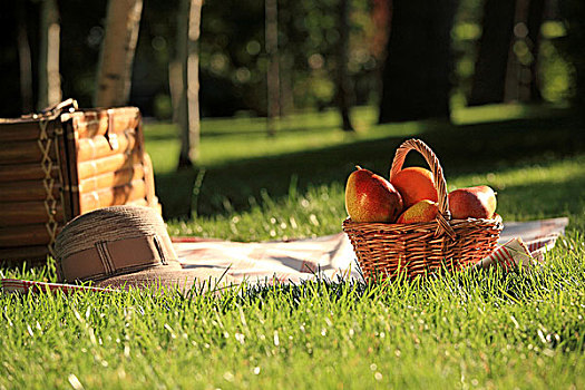 野餐篮,水果,草地,公园