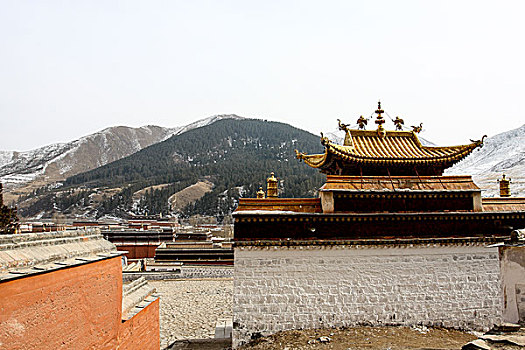 藏传佛教传统文化,寺院建筑