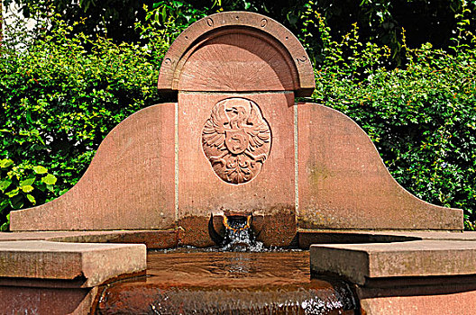 喷泉,2002年,盾徽,巴登符腾堡,德国,欧洲