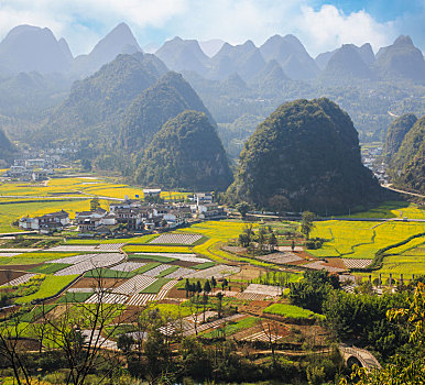 万峰林春色