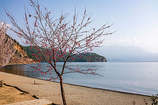 四川省凉山州泸沽湖沙滩