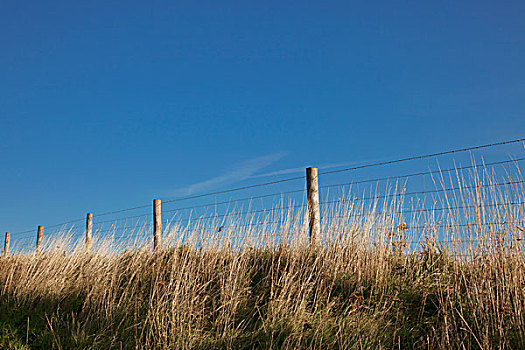 铁丝栅栏,蓝天,诺森伯兰郡,英格兰