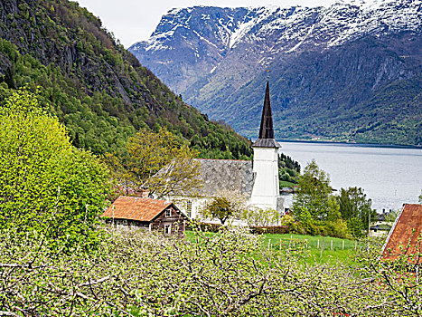 教堂,风景,上方,果树,松恩峡湾,挪威
