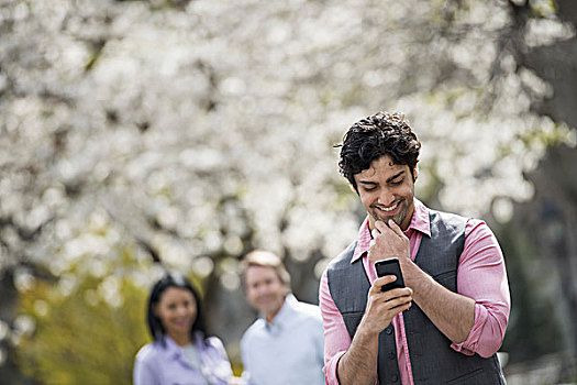 樱花,树,一个,男人,检查,手机,两个人,后面
