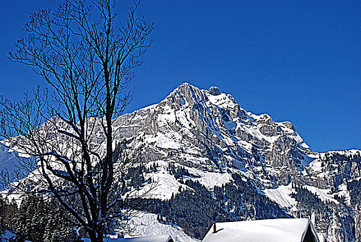瑞士鐵力士雪山
