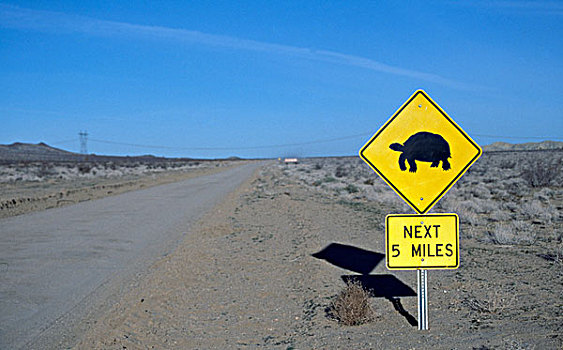 沙漠,龟,标识,路边,莫哈维沙漠,加利福尼亚,美国