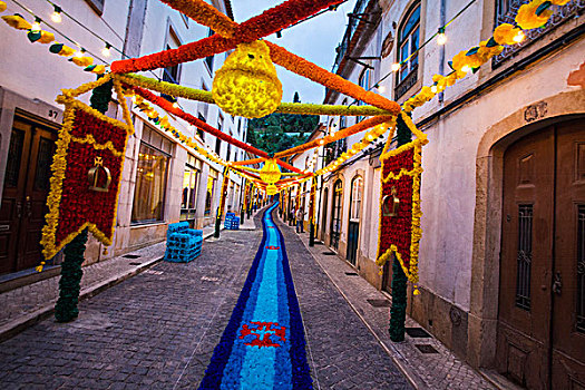 葡萄牙,街道,托马尔,装饰,纸,花,节日,托盘