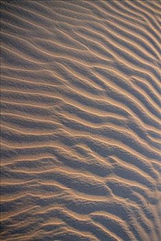 沙丘,坦桑尼亚