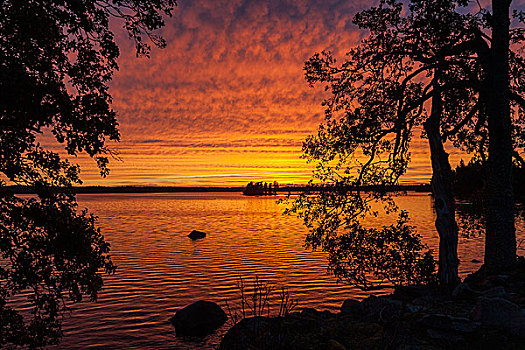 日落,傍晚,云体,湖,史马兰,瑞典,欧洲