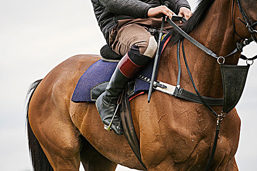 马美女,骑,骑马,雪中牛仔,萨斯喀彻温,加拿大两个男孩,骑马男人,马靴