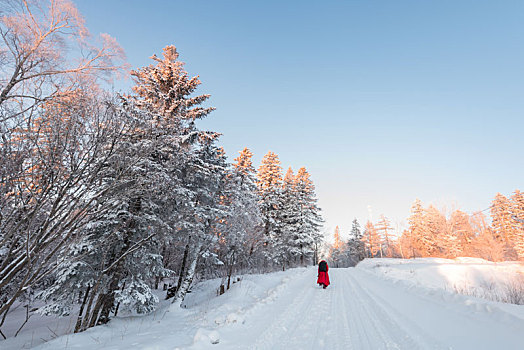 冬季长白山的雪地和雾凇