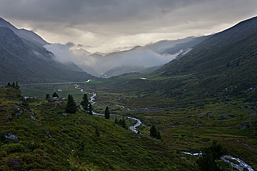 落日,山谷,山,河,树,阿尔卑斯山,瑞士