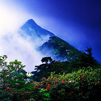 梵净山自然保护区