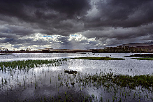 荒野,风景,湖,草,暗色,乌云,兰诺克沼泽,苏格兰,英国