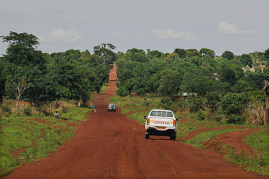 土路,区域,喀麦隆,非洲