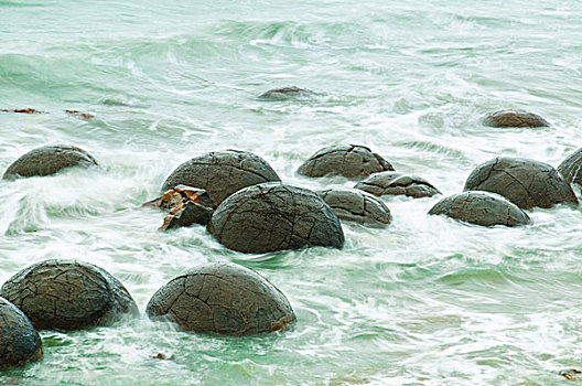 漂石,东海岸,南,新西兰