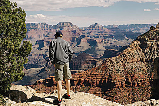 男人,看,上方,边缘,后视图,大峡谷,亚利桑那,美国