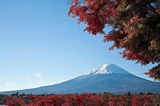 富士山