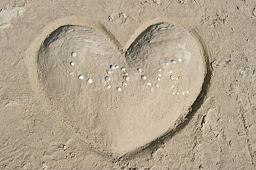 心形,沙子,文字,喜爱,壳,北方,石荷州,德国,欧洲