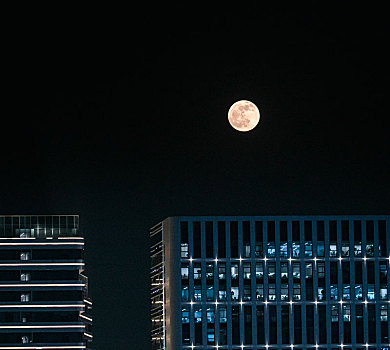 城市月光