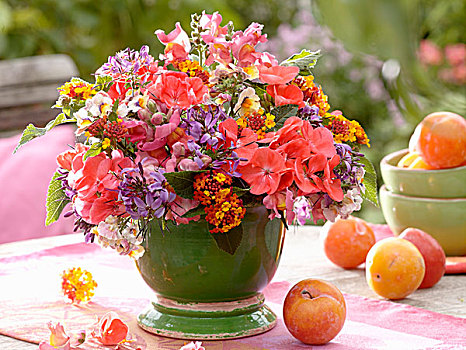 安放,夏末,花,花园桌
