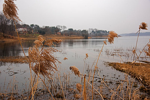 中原第一湖,河南省信阳市南湾湖