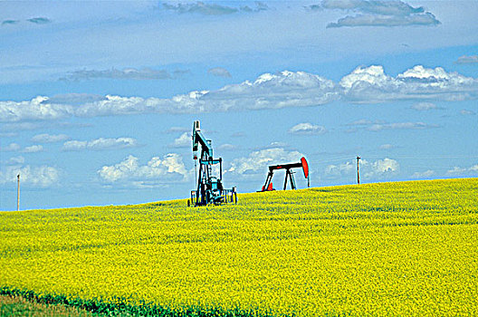 油,石油井架,曼尼托巴,加拿大,农业,能量