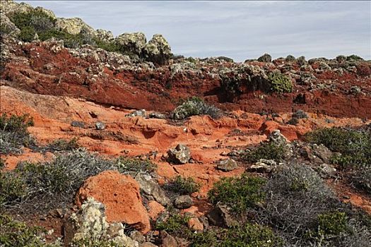 红色,火山岩,石头,加纳利群岛,西班牙,欧洲