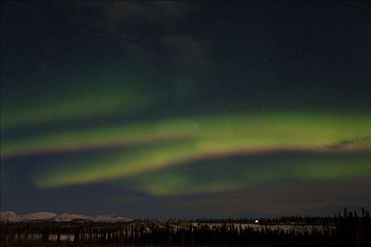 螺旋,绿色,北极光,上方,山谷,树,剪影,育空地区,加拿大