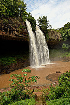 瀑布,靠近,喀麦隆,中非,非洲