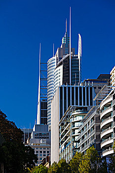 澳大利亚,悉尼,中央商务区,高层建筑,麦夸里岛,街道