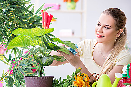 美女,浇水,植物,花园