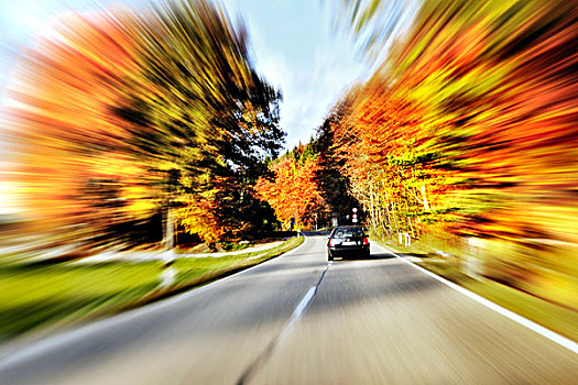 道路,树林,秋天,巴伐利亚,德国,欧洲