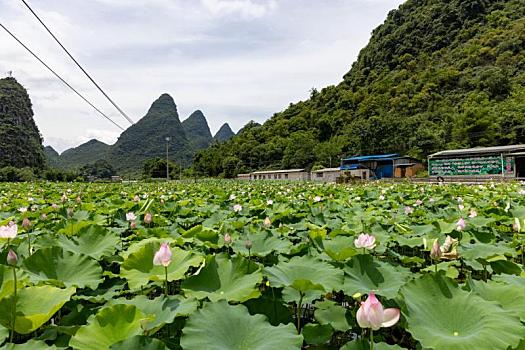 汽车竹炭包