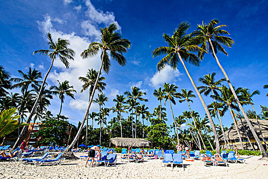 海滩,蓬塔卡纳,多米尼加共和国