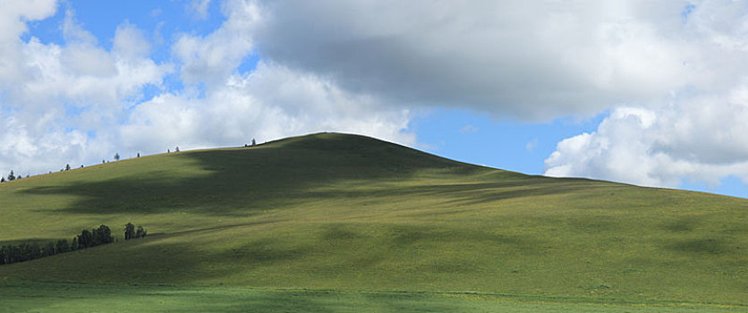 山峦与野生植物