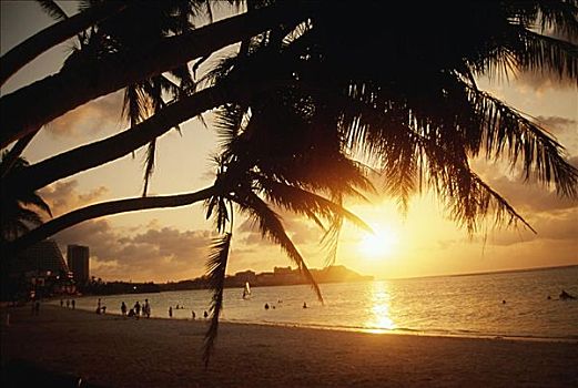 关岛,湾,剪影,棕榈树,框架,海滩风景,金色,日落,反射