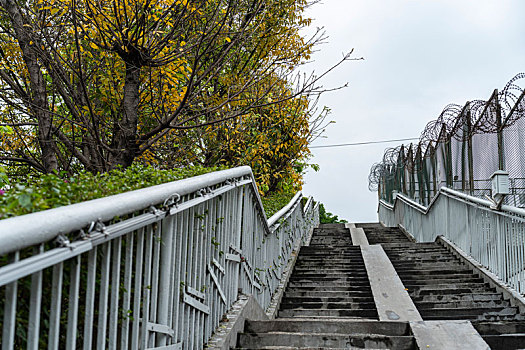 广州高高在上的人行天桥