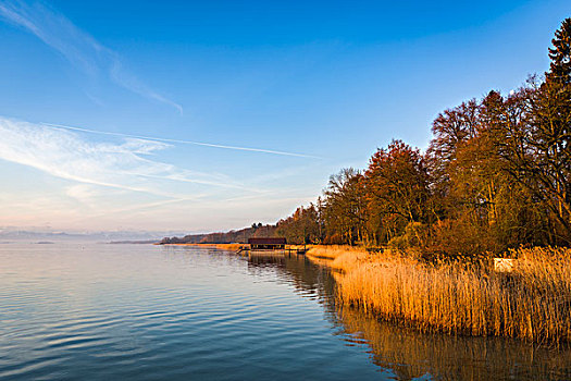 湖,早晨,巴伐利亚,德国,欧洲