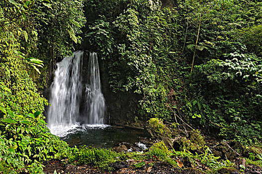 瀑布,靠近,阿雷纳尔,观测,住宿,哥斯达黎加,中美洲