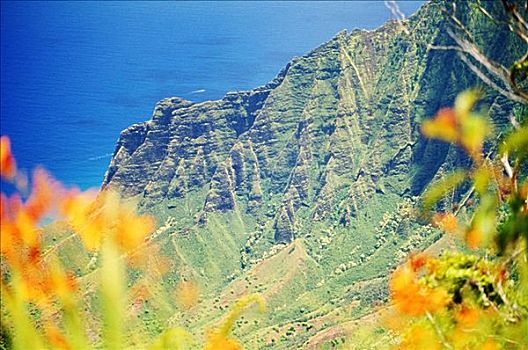 夏威夷,考艾岛,纳帕利海岸,卡拉拉乌谷,州立公园,暸望,橙花