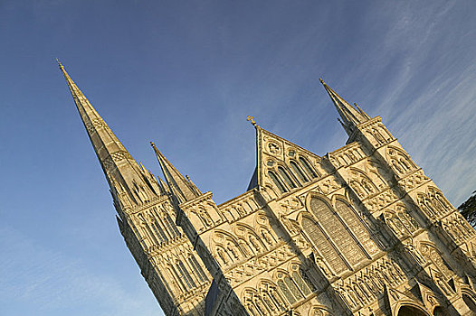 英格兰,威尔特,索尔兹伯里,建造,一个,建筑风格,13世纪,哥特式,大教堂