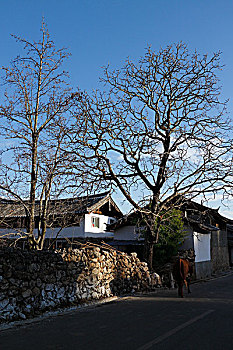 云南丽江玉龙雪山,白沙乡,民居