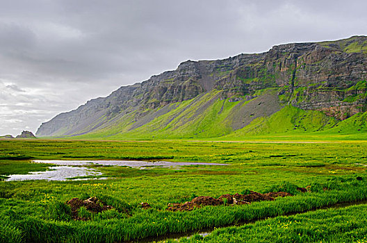 冰岛,南,靠近,农田,环路