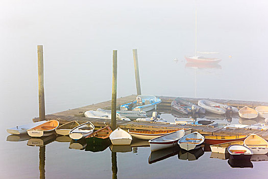 小船,晨雾,缅因,靠近,阿卡迪亚国家公园