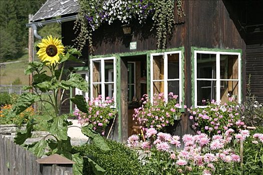 老,木屋,漂亮,花园,乡村,山区,施蒂里亚,奥地利