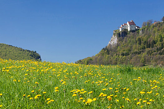 城堡,多瑙河,春天,阿尔卑斯山,巴登符腾堡,德国