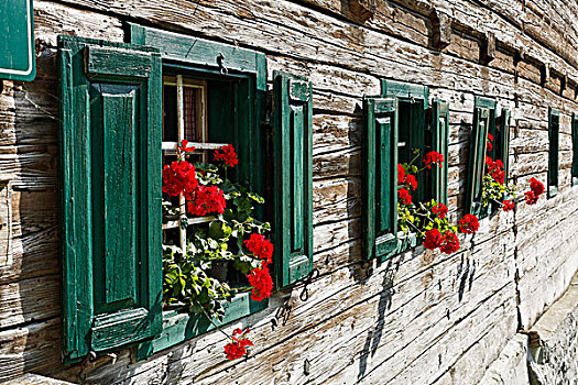 窗户,天竺葵,户外,博物馆,因威尔特尔,区域,上奥地利州,奥地利,欧洲